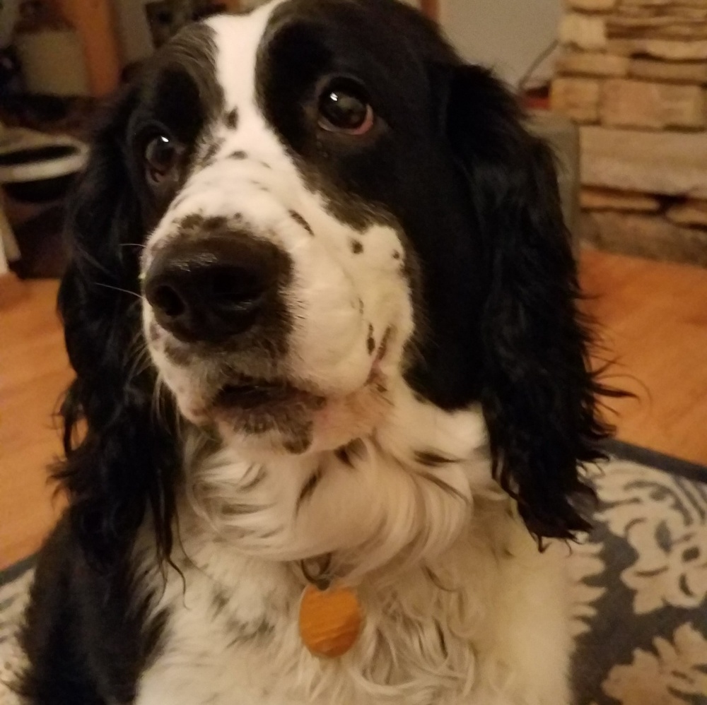 Meet your Posher, Barb